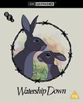 Orejas Largas (Watership Down) (VOSI) - 4K UHD | 5022655000148 | Martin Rosen