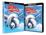 ¡Aterriza Como Puedas! (Airplane) (+ Blu-Ray) - 4K UHD | 8421394101760 | Jim Abrahams, David Zucker, Jerry Zucker