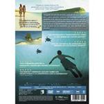 La Tortuga Roja - DVD | 8437010739040 | Michael  Dudok De Wit