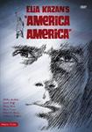 América América - DVD | 8436557110916