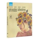 Girasoles Silvestres - Blu-Ray | 8436597561464 | Jaime Rosales