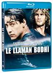 Le Llaman Bodhi - Blu-Ray | 8414533136709 | Kathryn Bigelow