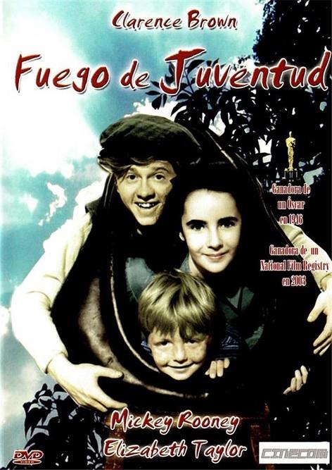 Fuego De Juventud - DVD | 8436536000221 | Clarence Brown