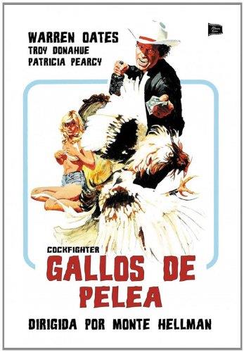 Gallos De Pelea - DVD | 8436541006409