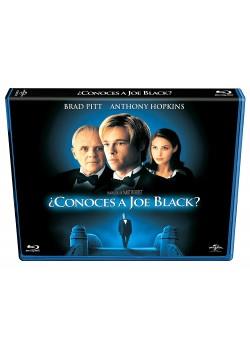 Conoces A Joe Black? - DVD | 8414906818485 | Martin Brest