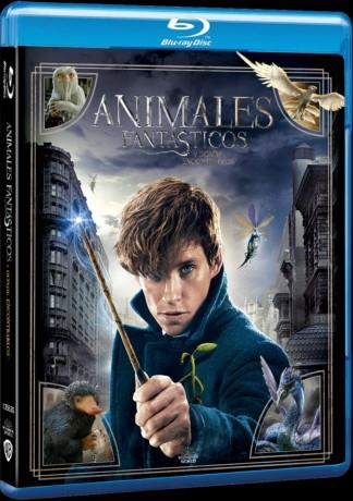 Animales Fantasticos 1: Y Donde Encontrarlos - Blu-Ray | 8414533135535 | David Yates