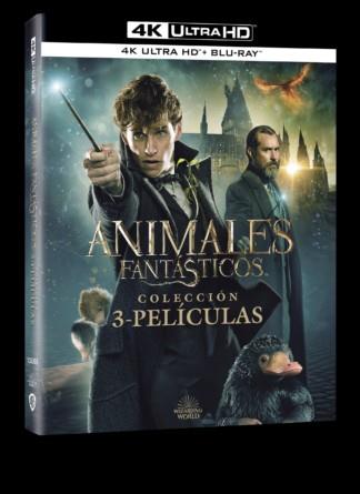 Animales Fantasticos Pack 1-3 (4K Uhd + Bd) - 4K UHD | 8414533135368 | David Yates