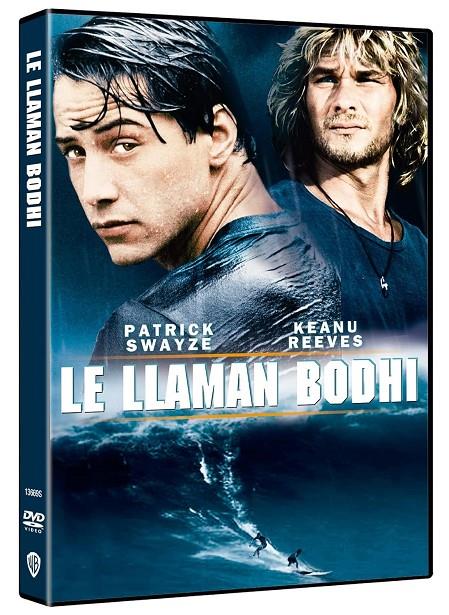 Le Llaman Bodhi - DVD | 8414533136693 | Kathryn Bigelow