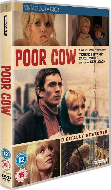 Poor Cow (V.O.S.I.) - DVD | 5055201833792 | Ken Loach