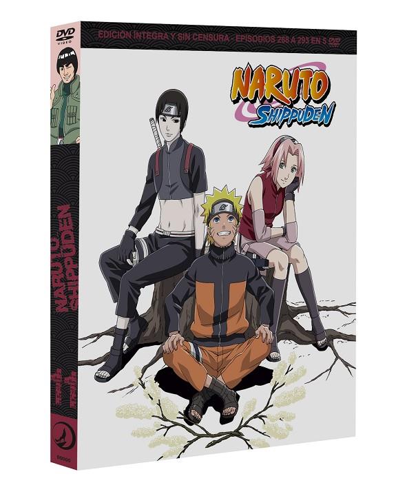 Naruto Shippuden Box 11 - DVD | 8424365726733