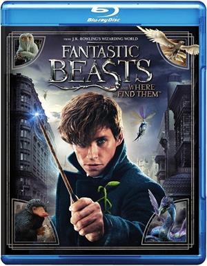 Animales Fantásticos Y Donde Encontrarlos - Blu-Ray | 5051892204125 | David Yates